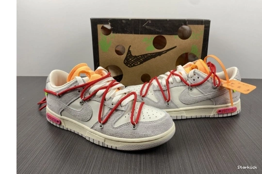 Nike DJ0950-103 Lot O-W Low Dunk 40 0125